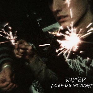 Artwork for track: love u 4 the night by LWILS