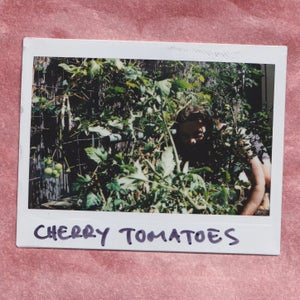 Artwork for track: Cherry Tomatoes by The Marlenes