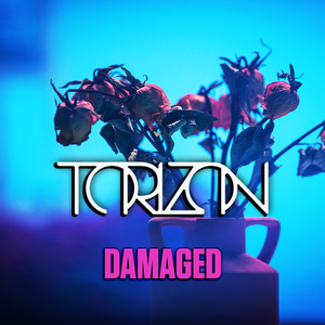 Artwork for track: Damaged by Torizon