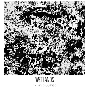 Artwork for track: Convoluted by wetlands