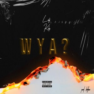 Artwork for track: W.Y.A.? by Lowty