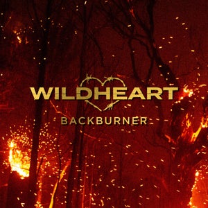Artwork for track: Backburner by Wildheart