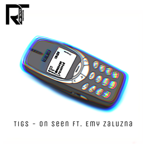 Artwork for track: On Seen by Tigs