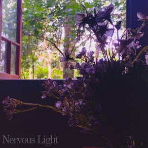 Artwork for track: Coffee Stains & Picture Frames by Nervous Light