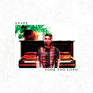 Artwork for track: Took Too Long by SNAPE