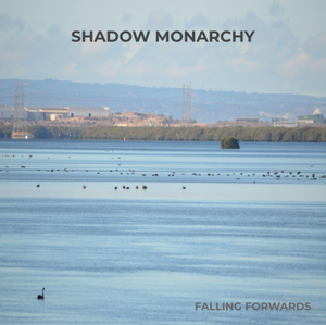 Artwork for track: FALLING FORWARDS by Shadow Monarchy