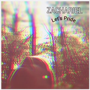 Artwork for track: Let's Pride by Zachariel