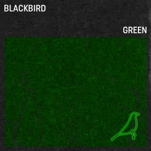 Artwork for track: Higher Ground by Blackbird Green