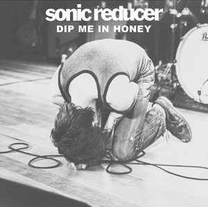 Artwork for track: DIP ME IN HONEY by Sonic Reducer