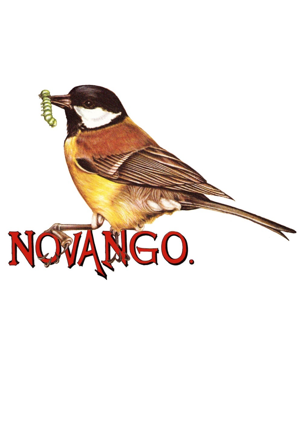 Novango