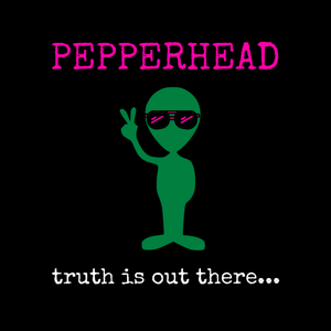 Artwork for track: Truth Is Out There by Pepperhead