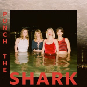 Artwork for track: Punch The Shark by Sweetie