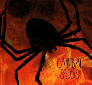 Artwork for track: Broken by Cannibal Spiders