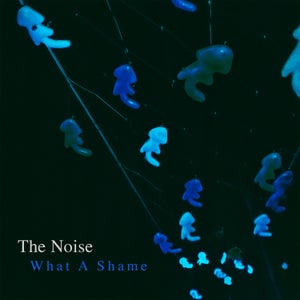 Artwork for track: What A Shame by The Noise