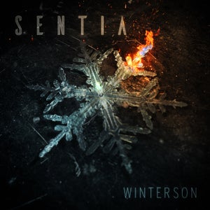 Artwork for track: Winterson by Sentia