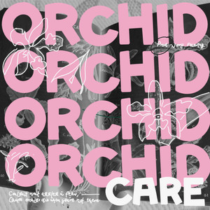 Artwork for track: Orchid Care by WALLACE
