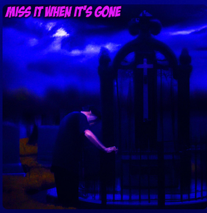 Artwork for track: Miss It When It's Gone by Donkeyman