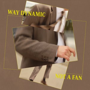 Artwork for track: Not A Fan by Way Dynamic