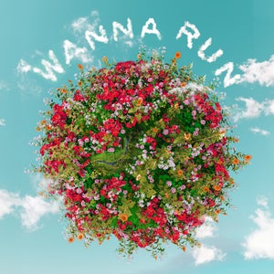Artwork for track: WANNA RUN by ethanrip