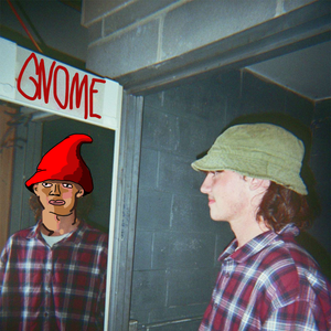 Artwork for track: Anything You Need by Gnome