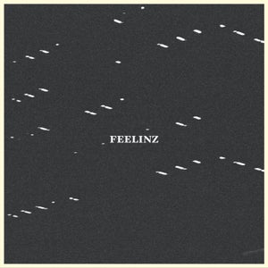 Artwork for track: Feelinz by Tourist Drive
