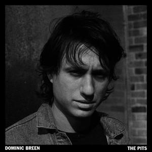 Artwork for track: The Pits by Dominic Breen
