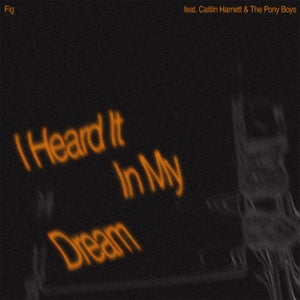 Artwork for track: I Heard It In My Dream (ft. Caitlin Harnett & The Pony Boys) by Fig
