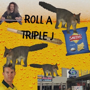 Artwork for track: ROLL A TRIPLE J by Shy Troy