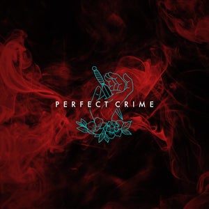 Artwork for track: Perfect Crime by Terra