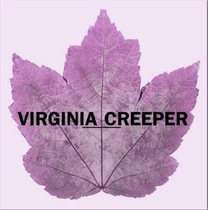 Artwork for track: The Poem by Virginia Creeper