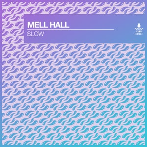 Artwork for track: Slow by Mell Hall