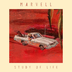 Artwork for track: Study Of Life by MARVELL