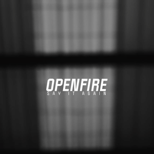 Artwork for track: Say It Again  by Openfire.
