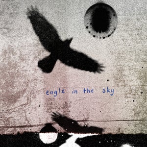 Artwork for track: Eagle In The Sky  by Daniel Aaron