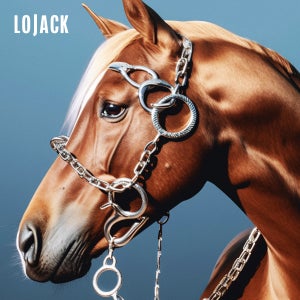 Artwork for track: No Home by Lojack