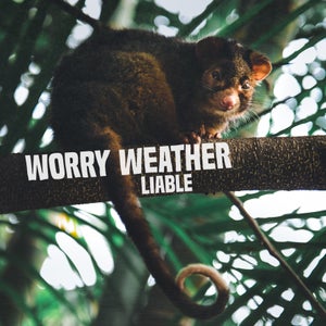 Artwork for track: Liable by Worry Weather