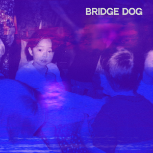 Artwork for track: Standard Issue by Bridge Dog