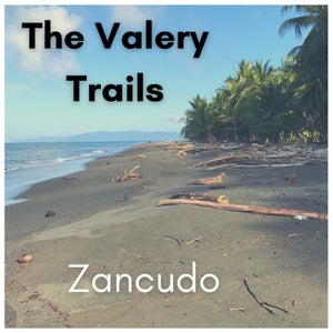Artwork for track: Zancudo by The Valery Trails