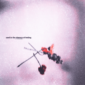 Artwork for track: used in the absence of feeling by Alanna  Skye