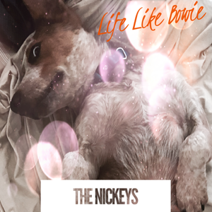 Artwork for track: Life Like Bowie  by The Nickeys