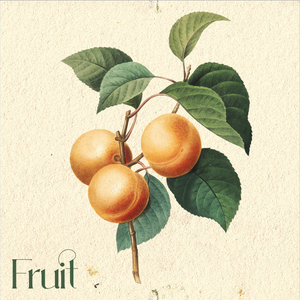 Artwork for track: Fruit by Bares