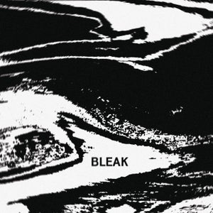 Artwork for track: Bleak by Mona Bay