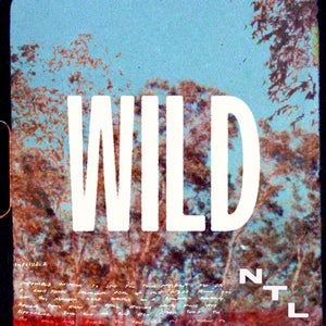Artwork for track: Wild by NTL Landmarks