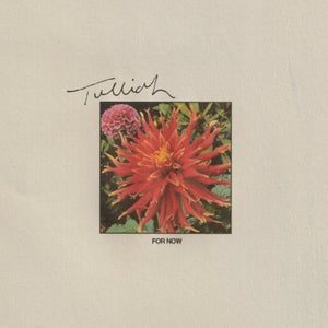 Artwork for track: For Now by Tulliah
