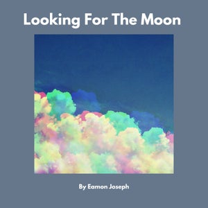 Artwork for track: Looking For The Moon by Eamon Joseph