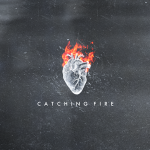 Artwork for track: Catching Fire by Terra