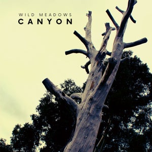 Artwork for track: Canyon by Wild Meadows