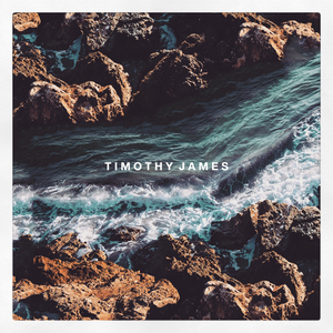 Artwork for track: Platinum by Timothy James