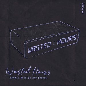 Artwork for track: Wasted Hours by Phroggy