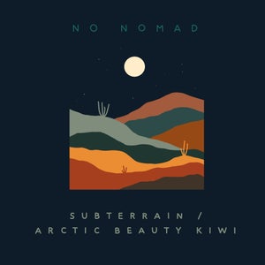 Artwork for track: Subterrain by No Nomad